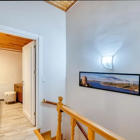 Willa Hagia Detached House Stambuł