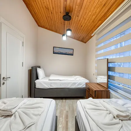 Willa Hagia Detached House *