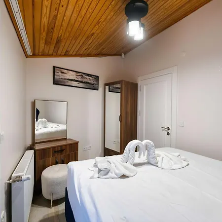 Hagia Detached House *