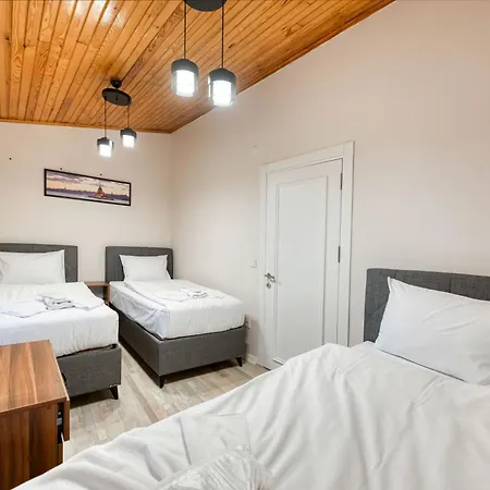 Hagia Detached House Villa