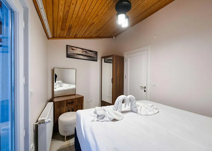 Hagia Detached House *