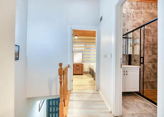 Villa Hagia Detached House Istanbul