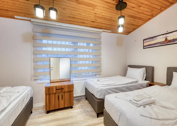 Hagia Detached House Villa *