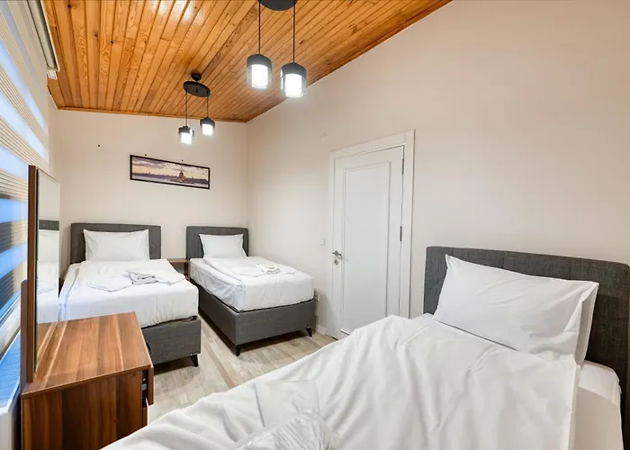 Hagia Detached House Villa